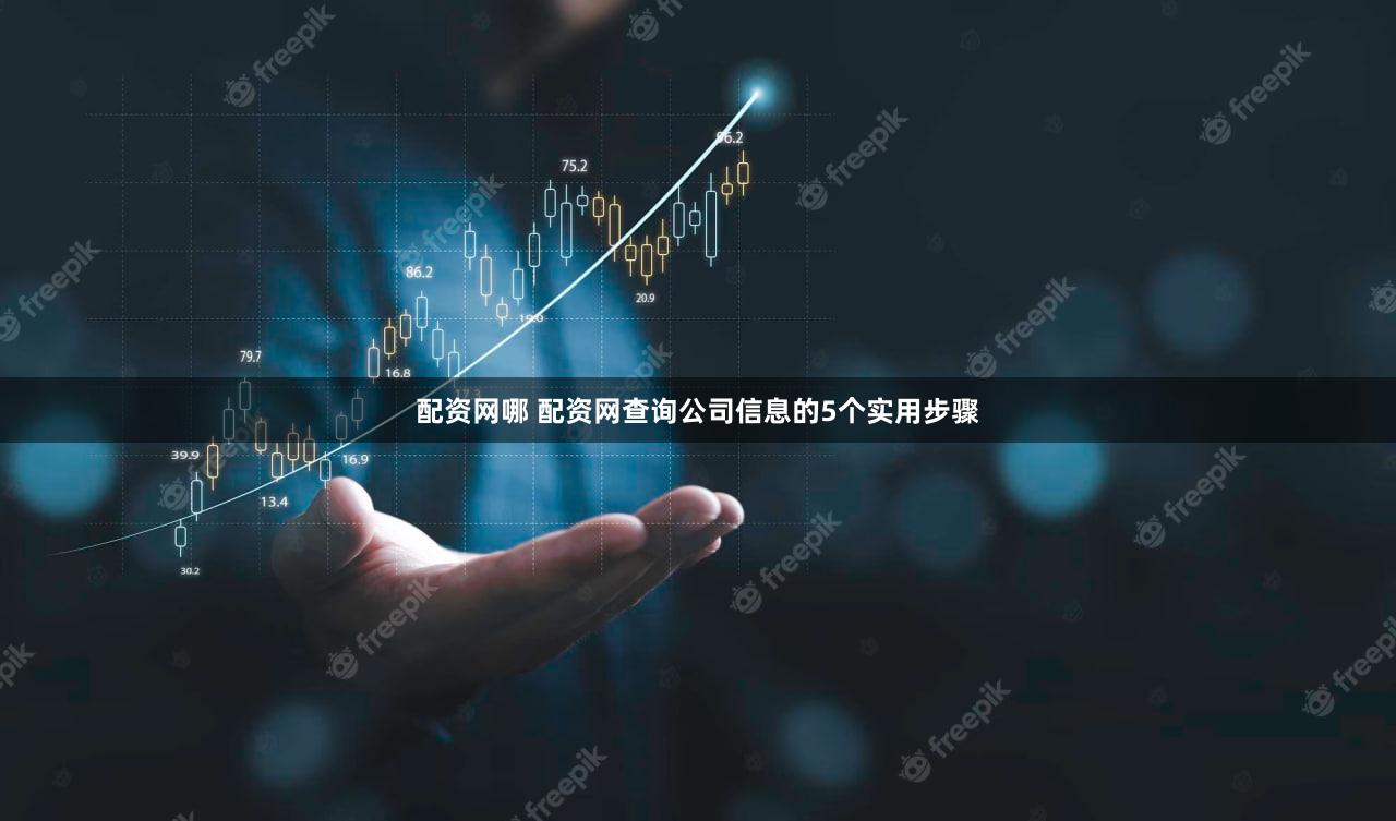 配资网哪 配资网查询公司信息的5个实用步骤