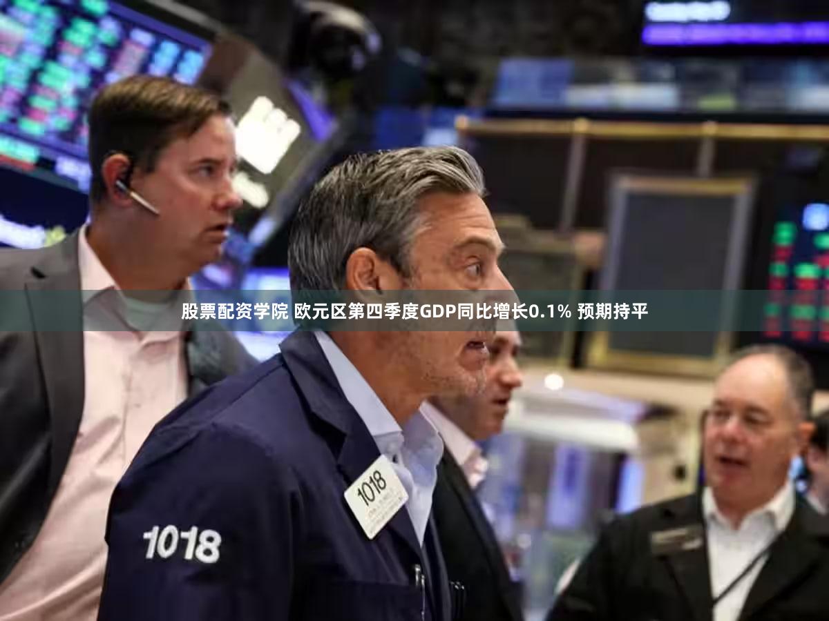 股票配资学院 欧元区第四季度GDP同比增长0.1% 预期持平