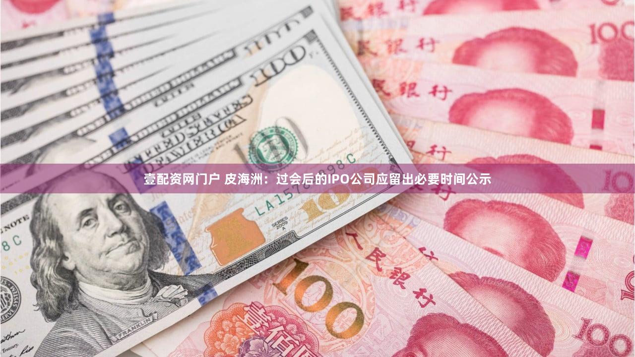 壹配资网门户 皮海洲：过会后的IPO公司应留出必要时间公示