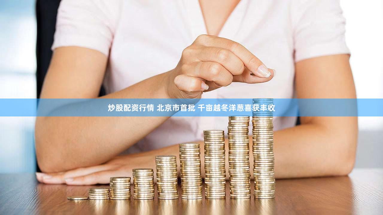 炒股配资行情 北京市首批 千亩越冬洋葱喜获丰收