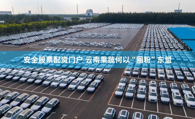 安全股票配资门户 云南果蔬何以“圈粉”东盟
