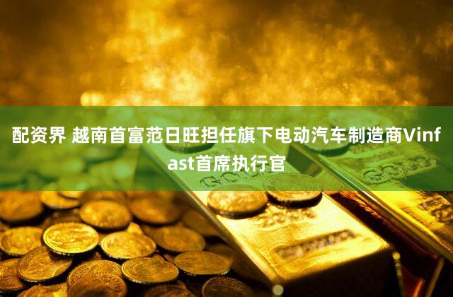 配资界 越南首富范日旺担任旗下电动汽车制造商Vinfast首席执行官