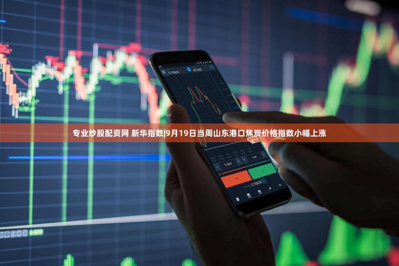 专业炒股配资网 新华指数|9月19日当周山东港口焦炭价格指数小幅上涨