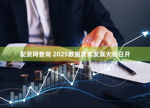 配资网查询 2025数据要素发展大会召开