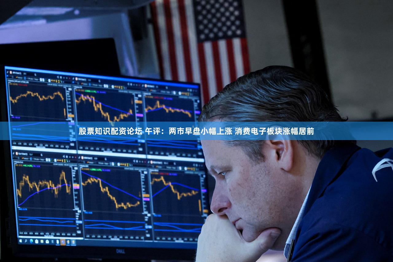 股票知识配资论坛 午评：两市早盘小幅上涨 消费电子板块涨幅居前