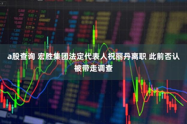 a股查询 宏胜集团法定代表人祝丽丹离职 此前否认被带走调查